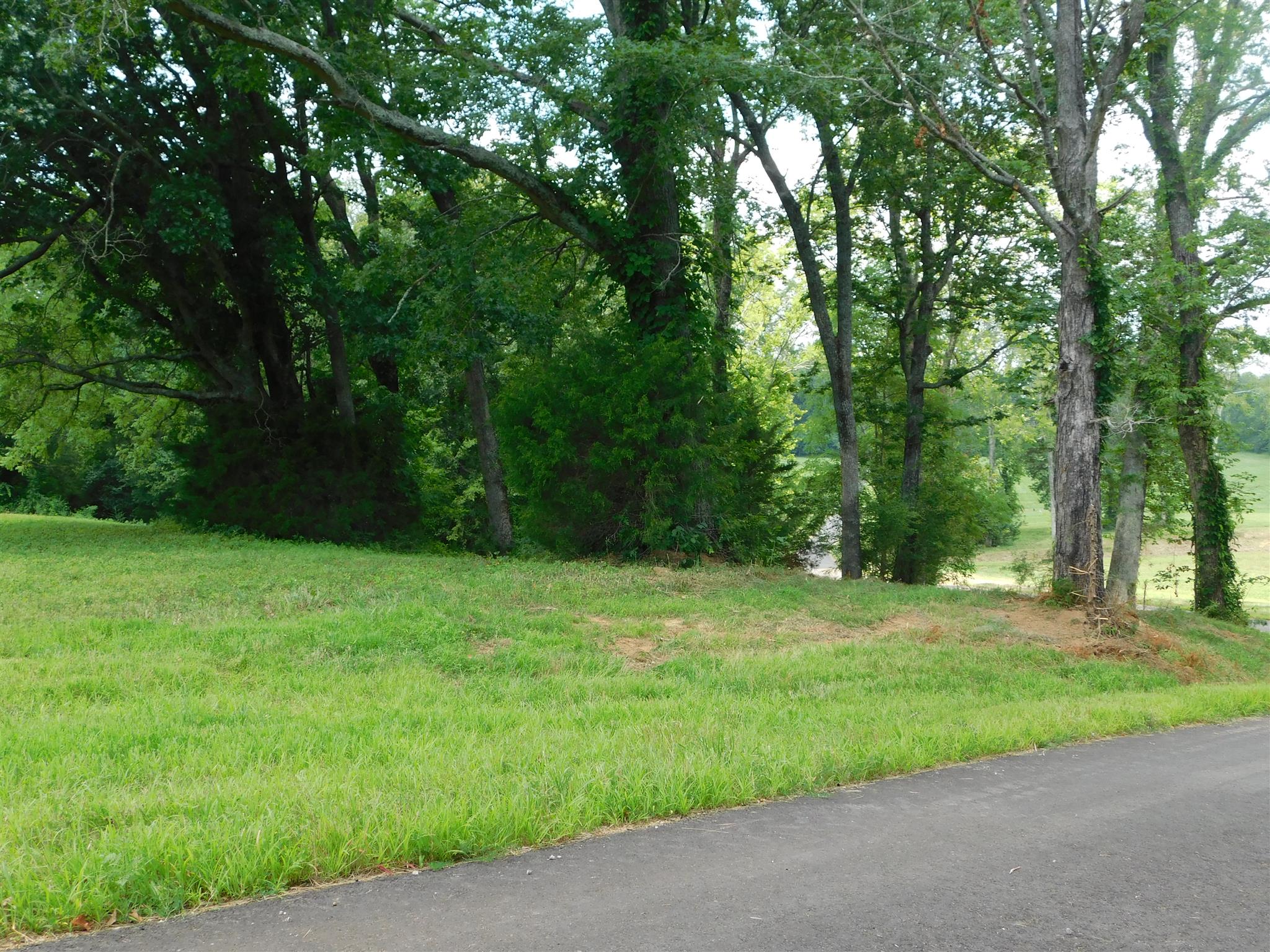 4708 Rita's Way Franklin, TN 37064 - Photo 6 of 14 a backyard of a house with lots of green space