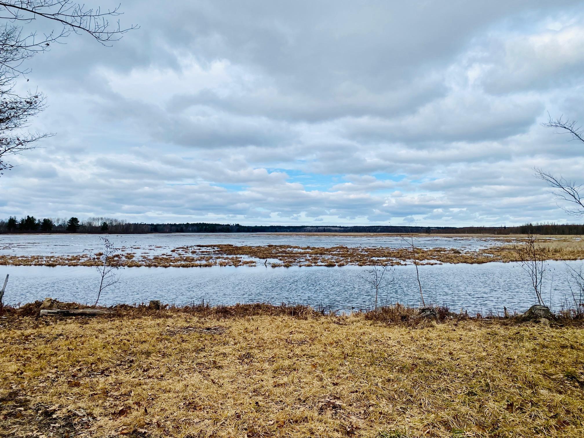 0 County Road Y Gordon, WI 54838 - Photo 11 of 16