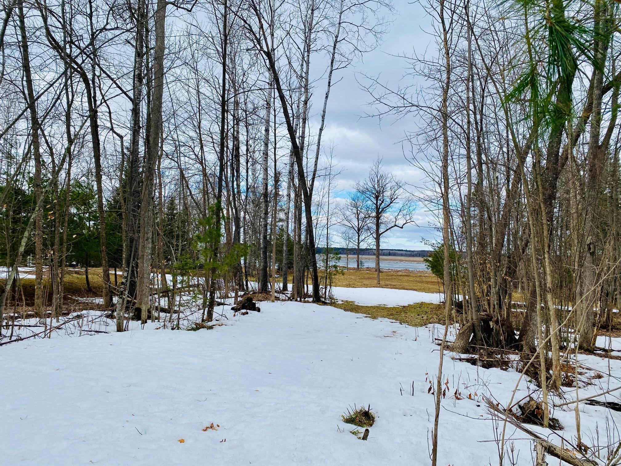 0 County Road Y Gordon, WI 54838 - Photo 5 of 16