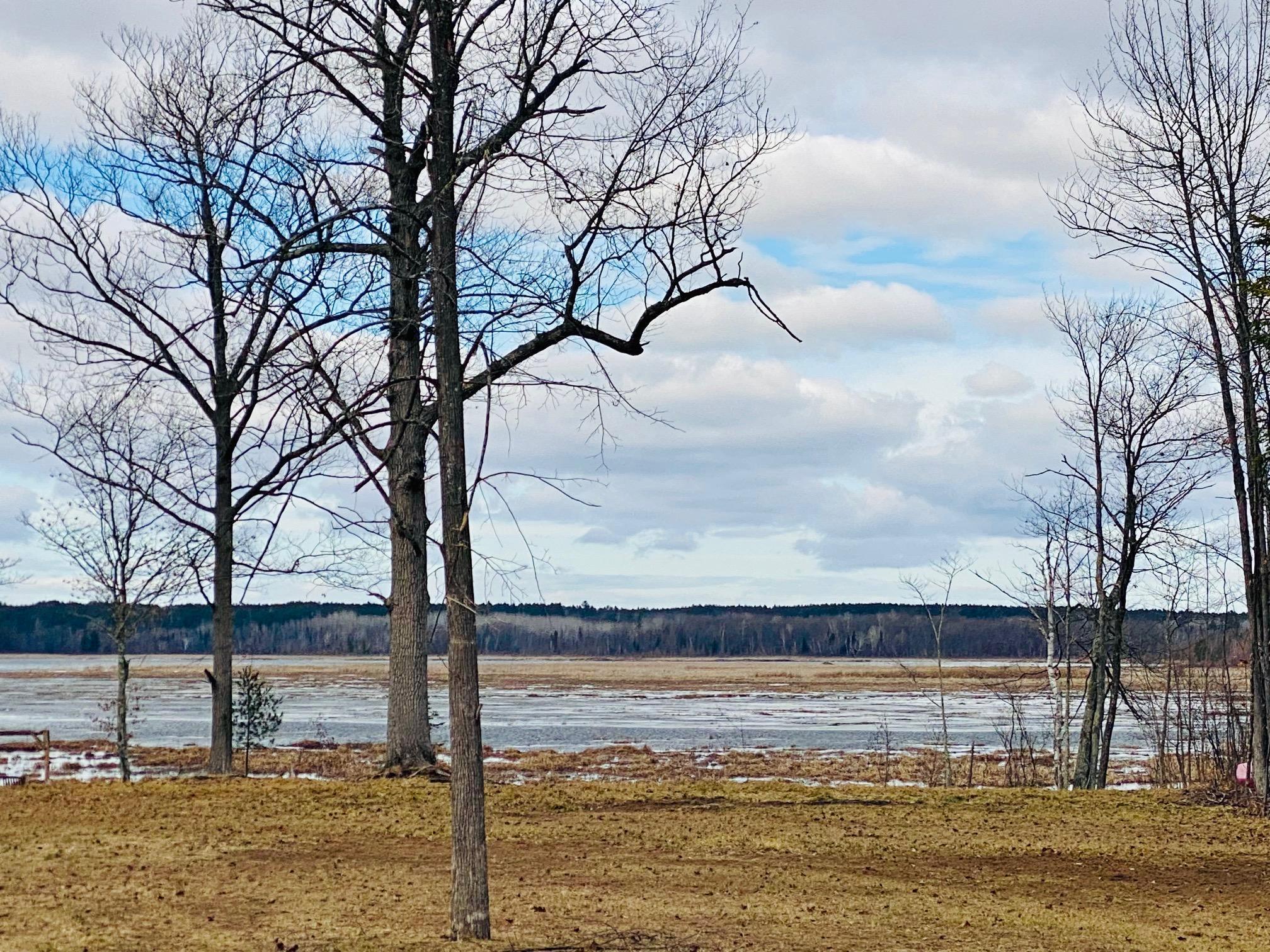 0 County Road Y Gordon, WI 54838 - Photo 8 of 16