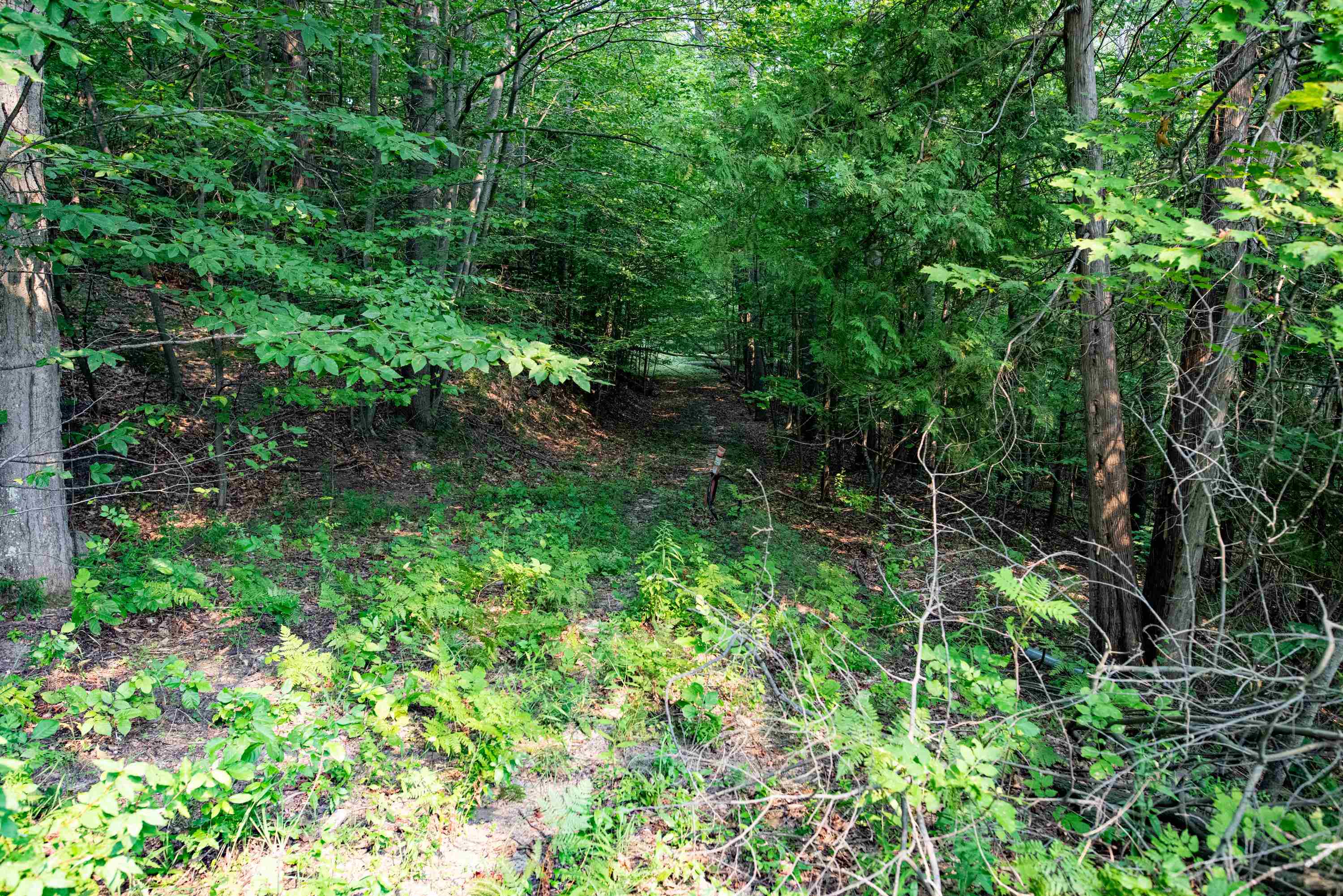 0 East Grandview Road Traverse City, MI 49684 - Photo 3 of 24