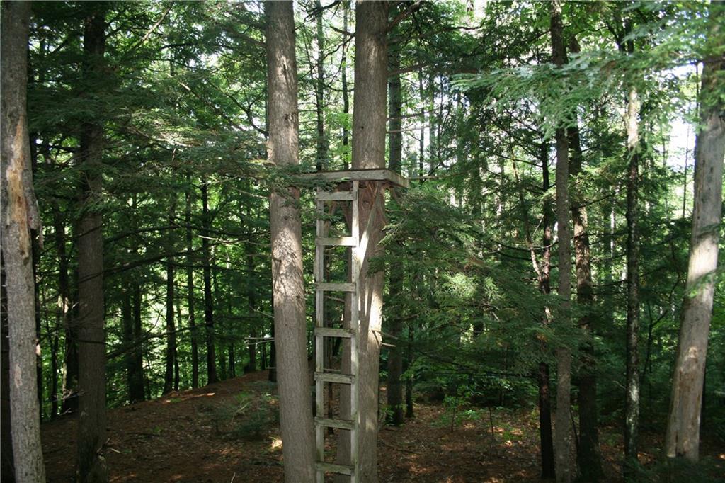 5 Bingham Road Bingham, ME 04920 - Photo 26 of 27 Photo