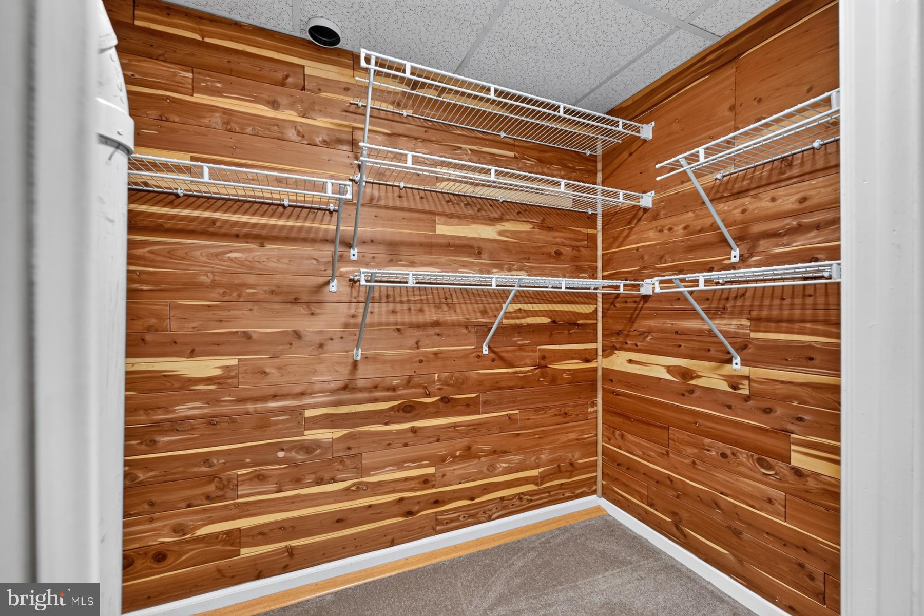 303 Riding Ridge Road Annapolis, MD 21403 - Photo 43 of 48 Walk-in Cedar Closet in Basement