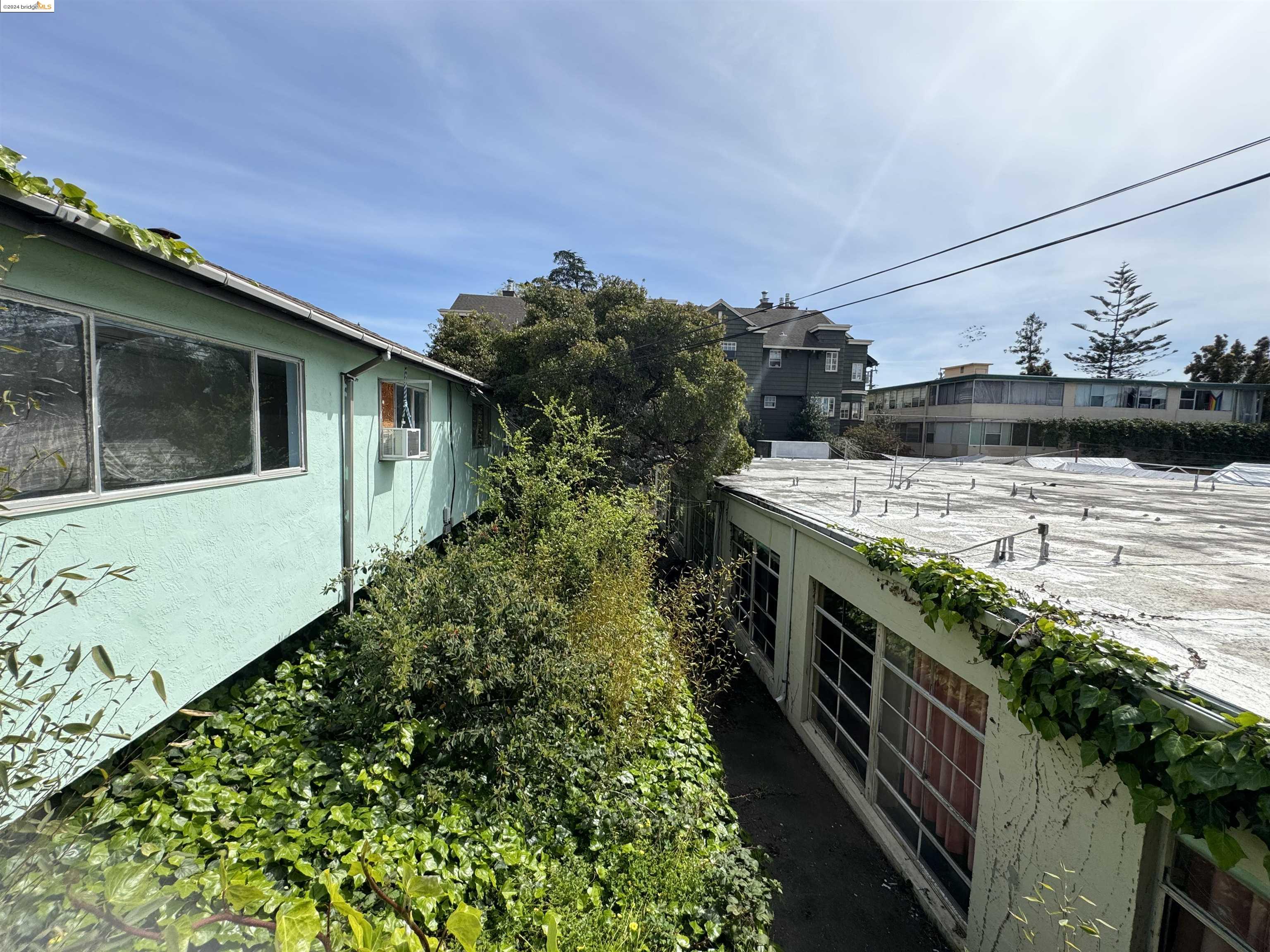2330 Prince Street Berkeley, CA 94705 - Photo 50 of 55 a view of a backyard with plants and brick wall