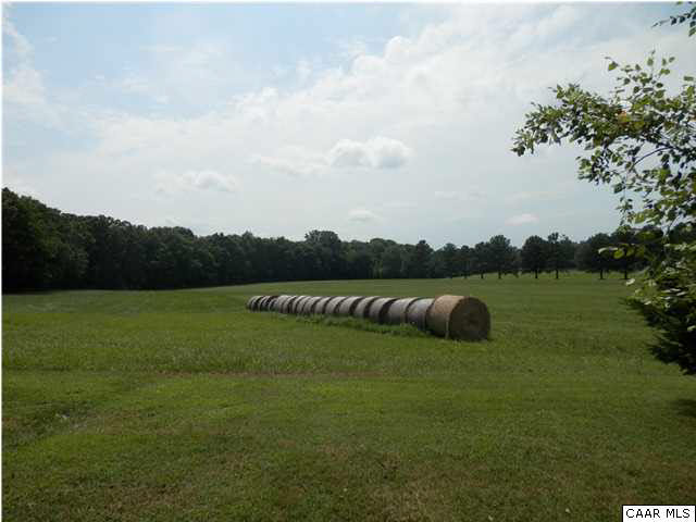 34416 Parker Road Locust Grove, VA 22508 - Photo 19 of 28 View from property