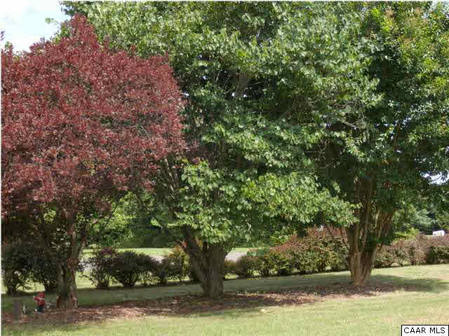 34416 Parker Road Locust Grove, VA 22508 - Photo 24 of 28 Yard
