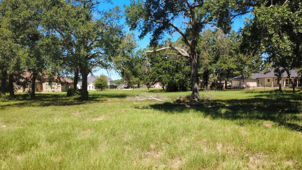 a view of swimming pool with yard