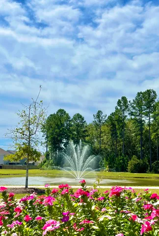 $313,000 | 703 Hilchot Drive, Summerville, SC 29486