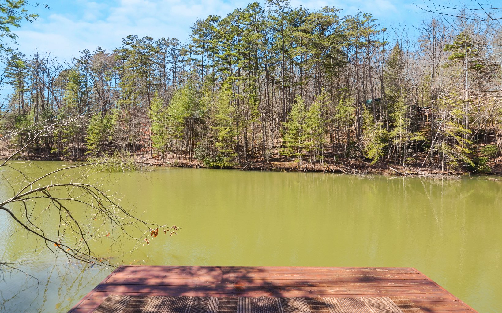 266 Tipton Gap Road Blue Ridge, GA 30513 - Photo 39 of 44 Additional View