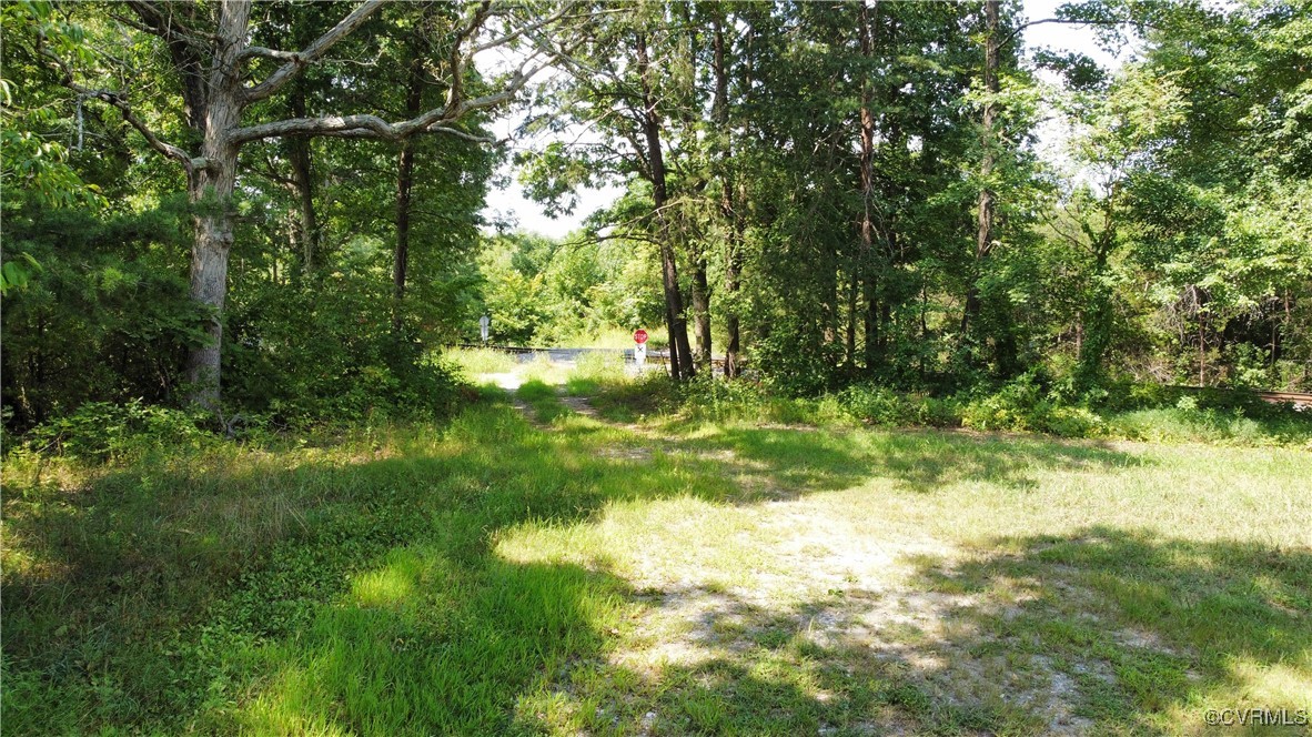 Tbd Hartley Road Beaverdam, VA 23015 - Photo 15 of 28 a view of yard with green space