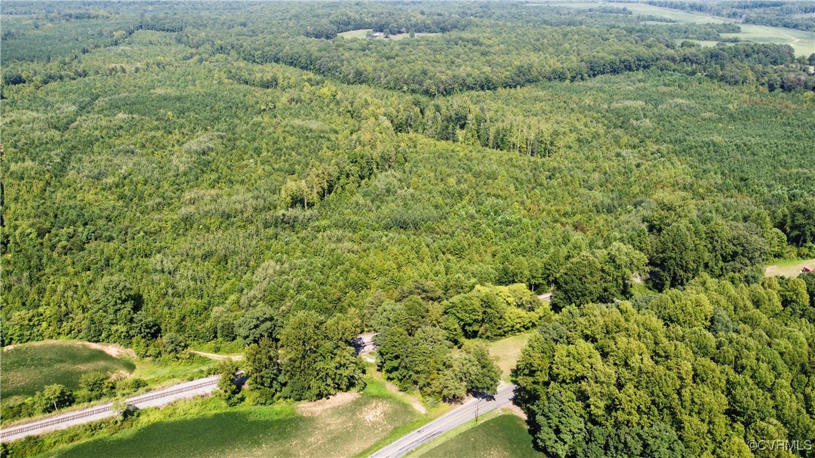 Tbd Hartley Road Beaverdam, VA 23015 - Photo 19 of 28 a view of a bunch of trees and bushes