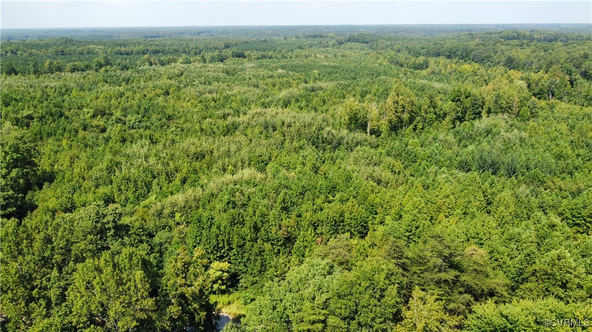 Tbd Hartley Road Beaverdam, VA 23015 - Photo 20 of 28 a view of a lush green forest with trees in the background