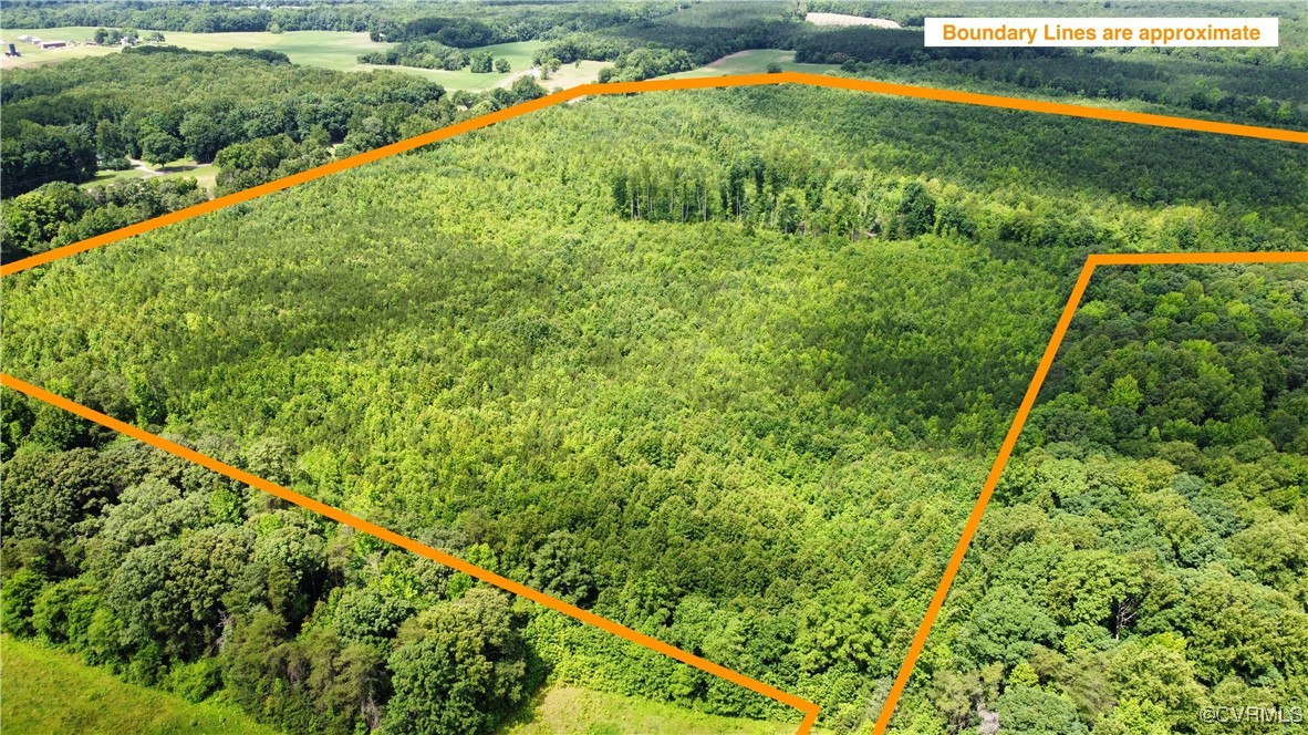Tbd Hartley Road Beaverdam, VA 23015 - Photo 2 of 28 a view of a garden
