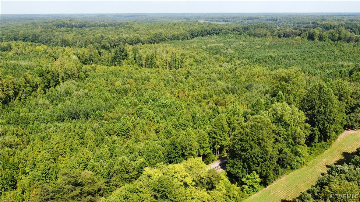 Tbd Hartley Road Beaverdam, VA 23015 - Photo 21 of 28 a view of a lush green forest with trees and some houses