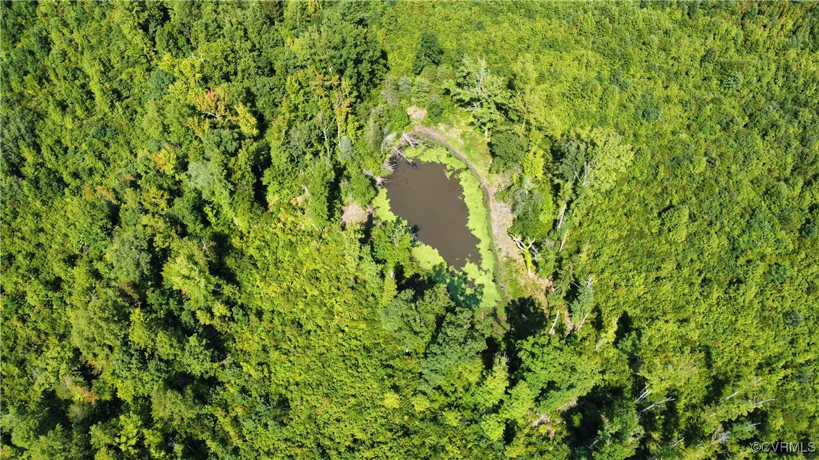 Tbd Hartley Road Beaverdam, VA 23015 - Photo 25 of 28 a view of a lush green yard