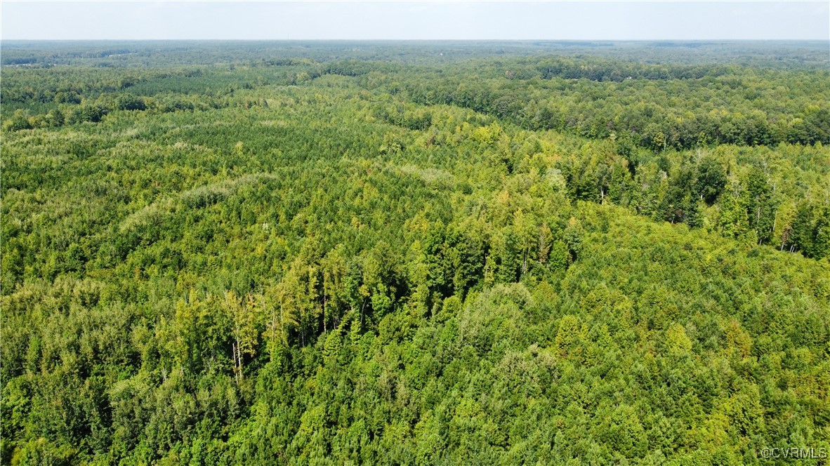 Tbd Hartley Road Beaverdam, VA 23015 - Photo 28 of 28 a view of a lush green forest with trees in the background