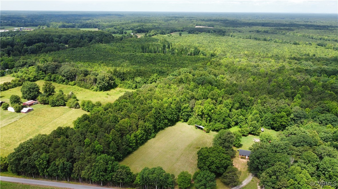 Tbd Hartley Road Beaverdam, VA 23015 - Photo 3 of 28 a view of a lush green forest with lots of trees