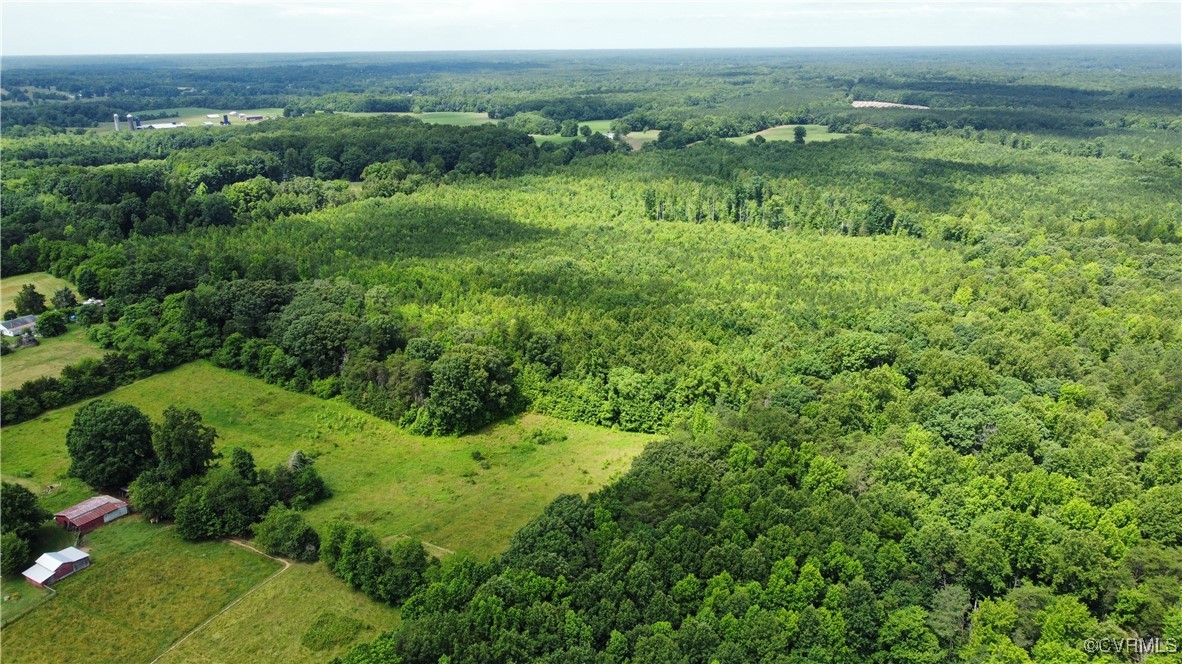 Tbd Hartley Road Beaverdam, VA 23015 - Photo 4 of 28 a view of a lush green forest with trees and some houses