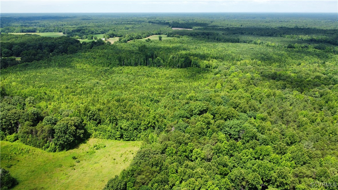 Tbd Hartley Road Beaverdam, VA 23015 - Photo 5 of 28 a view of a lush green forest with trees and some houses