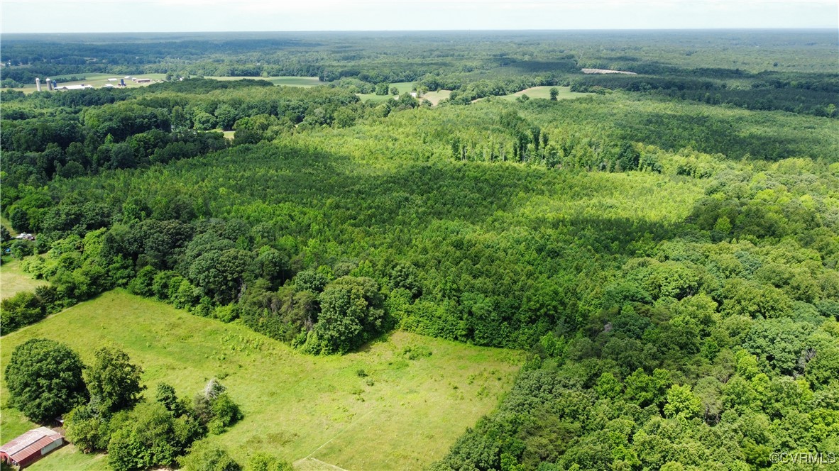 Tbd Hartley Road Beaverdam, VA 23015 - Photo 6 of 28 a view of a lush green forest with trees and some houses