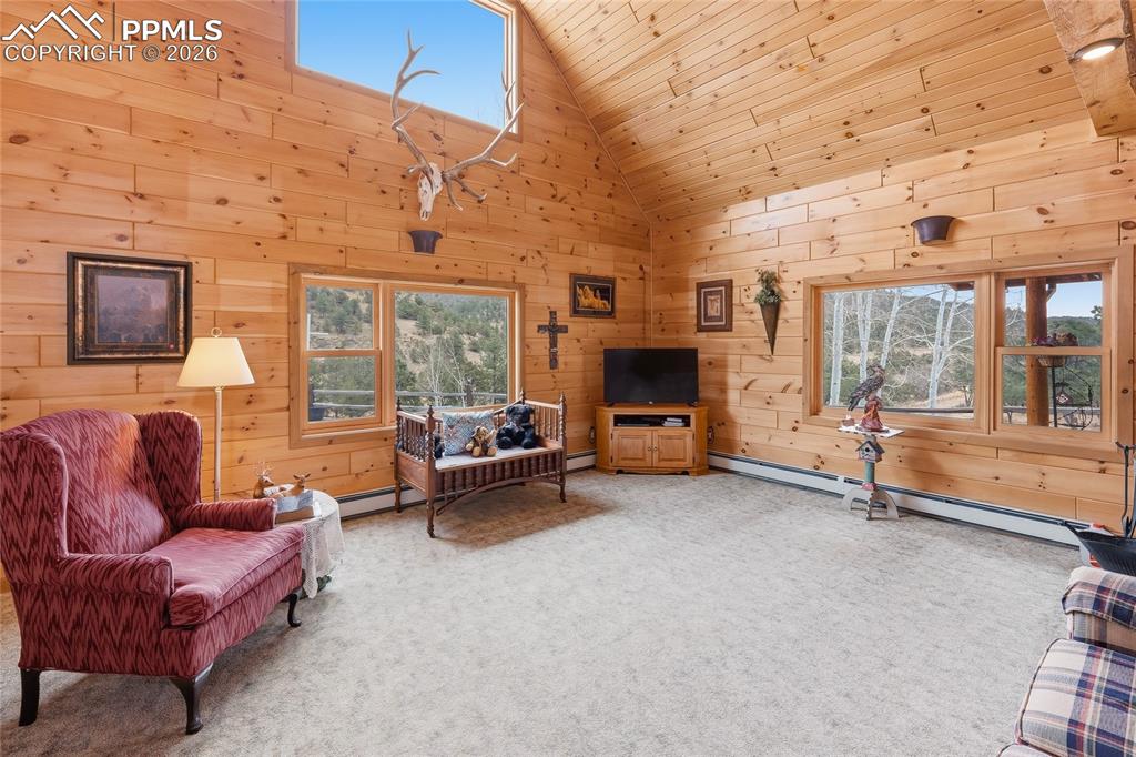 13016 Cielo Grande Road Weston, CO 81091 - Photo 7 of 49 a living room with furniture and a fireplace