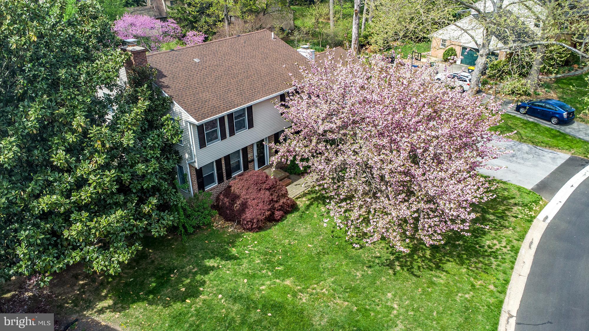 1139 Webster Drive Wilmington, DE 19803 - Photo 6 of 37 a view of a house with a yard and a fountain