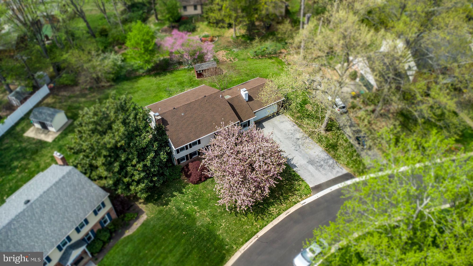 1139 Webster Drive Wilmington, DE 19803 - Photo 7 of 37 a view of a yard with plants