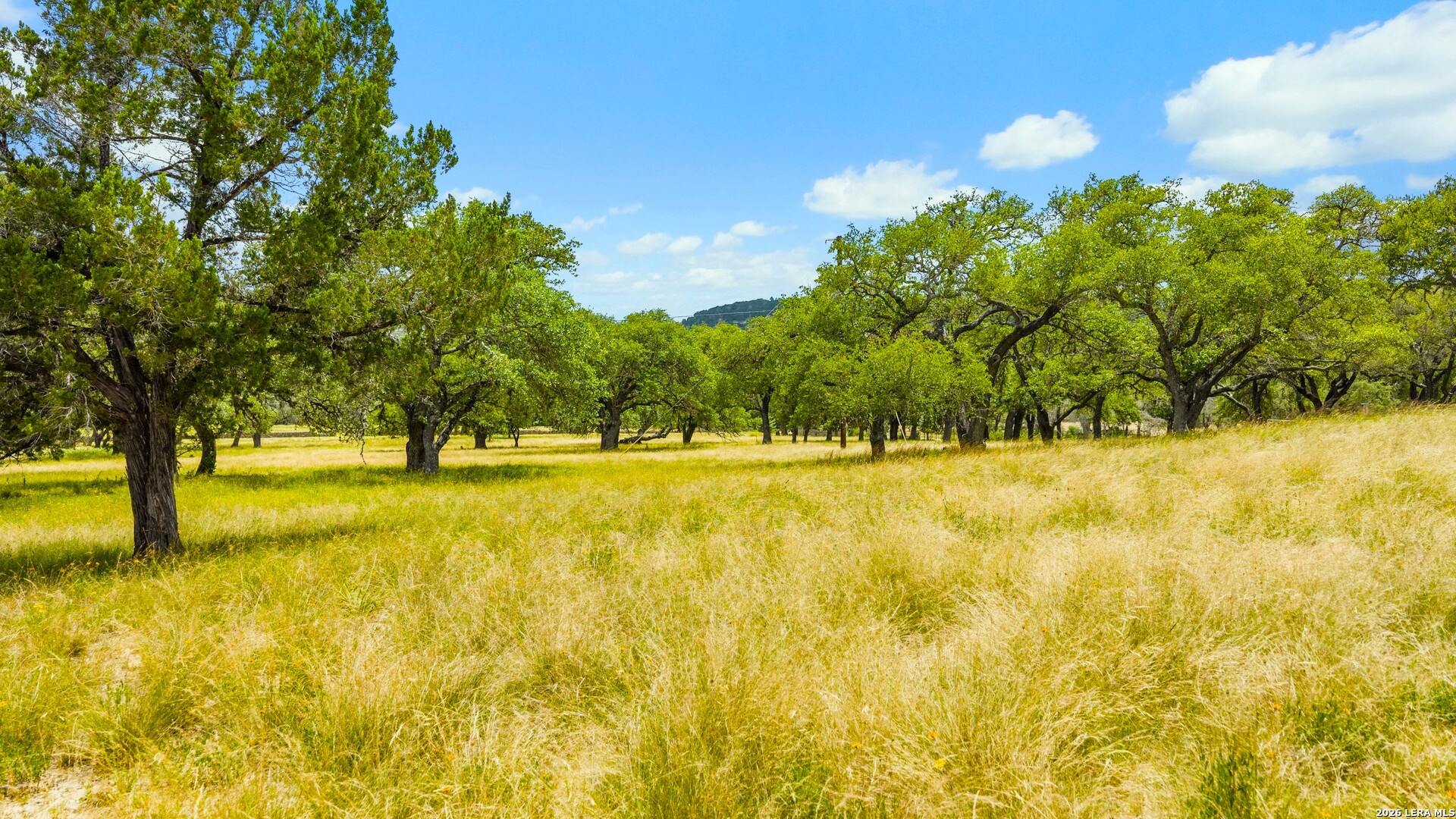 271-173 Big Creek Road Blanco, TX 78606 - Photo 70 of 75