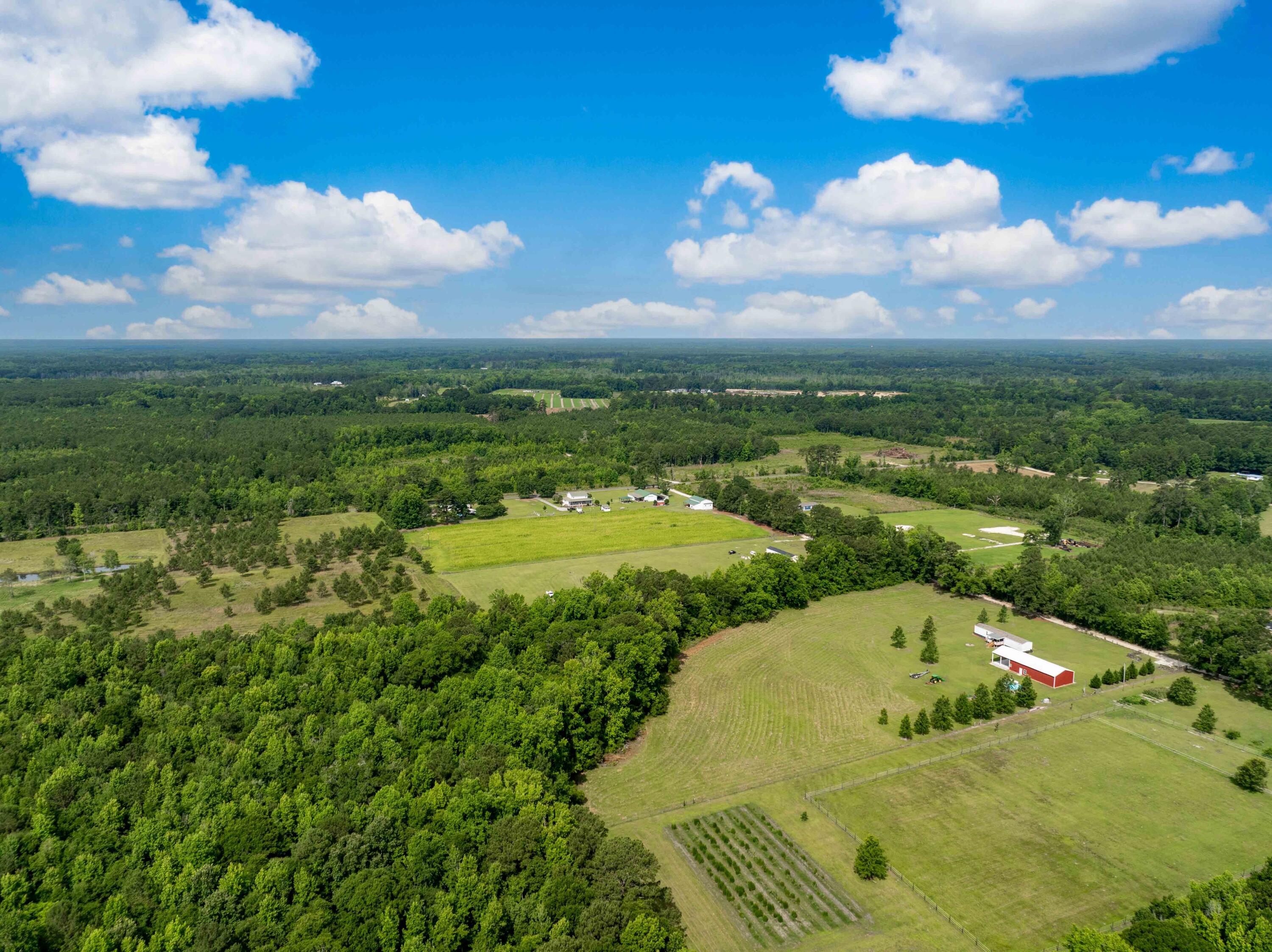 170 Radio Road St. George, SC 29477 - Photo 5 of 53 170 Radio Rd Drone-4