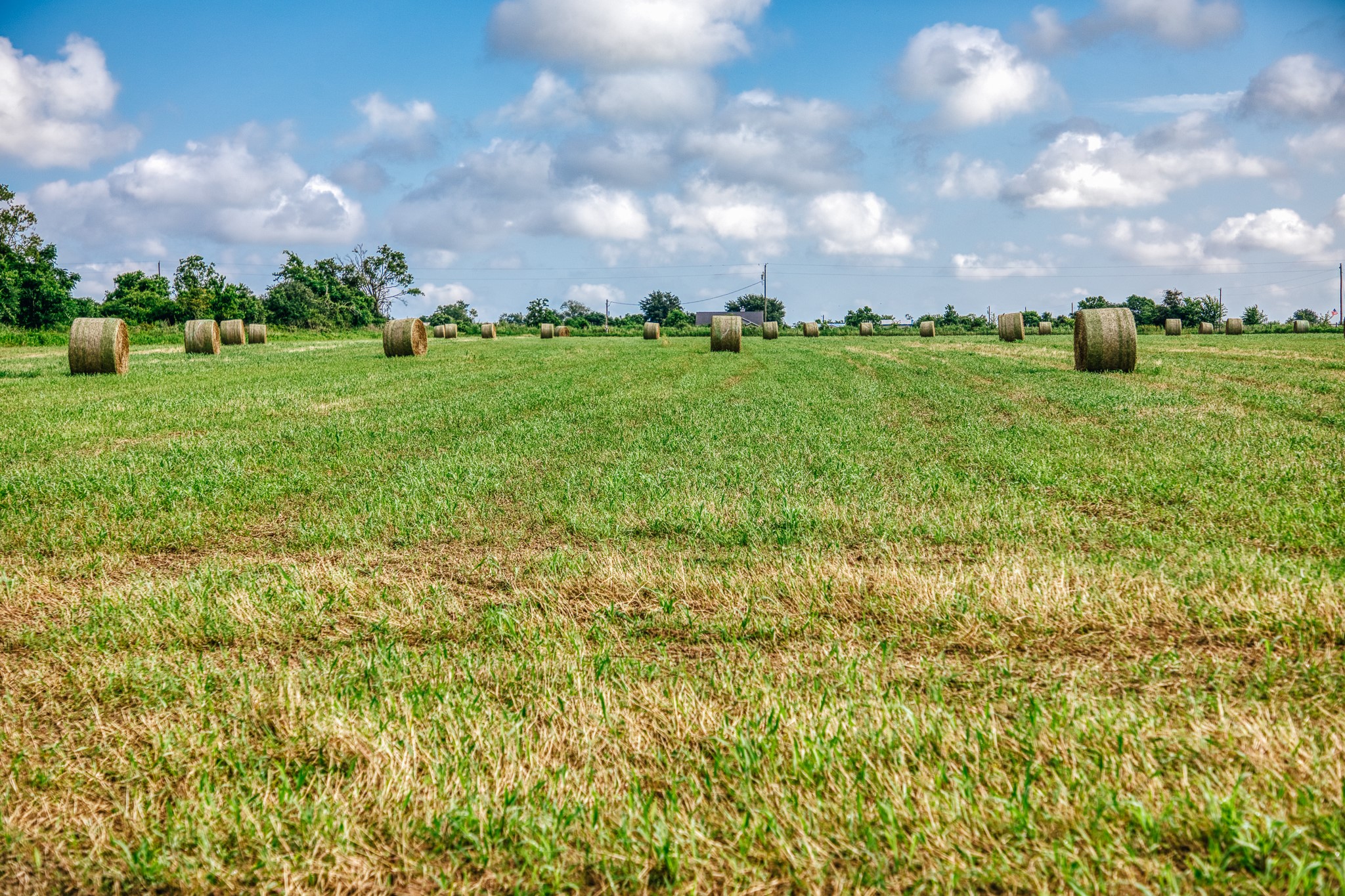 0 Richard Frey Road Waller, TX 77484 - Photo 20 of 23