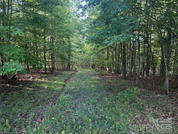 a view of outdoor space and green space