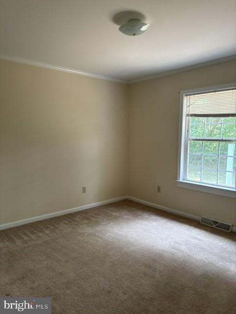 43985 Sandy Bottom Road Hollywood, MD 20636 - Photo 5 of 6