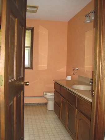115 Baker Pond Road Dudley, MA 01571 - Photo 11 of 17 a bathroom with a sink a toilet and a mirror