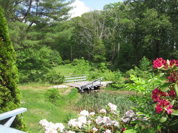 115 Baker Pond Road Dudley, MA 01571 - Photo 16 of 17 a view of a flower in a garden