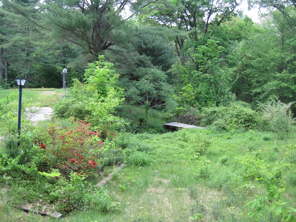 115 Baker Pond Road Dudley, MA 01571 - Photo 2 of 17 a view of a lush green forest