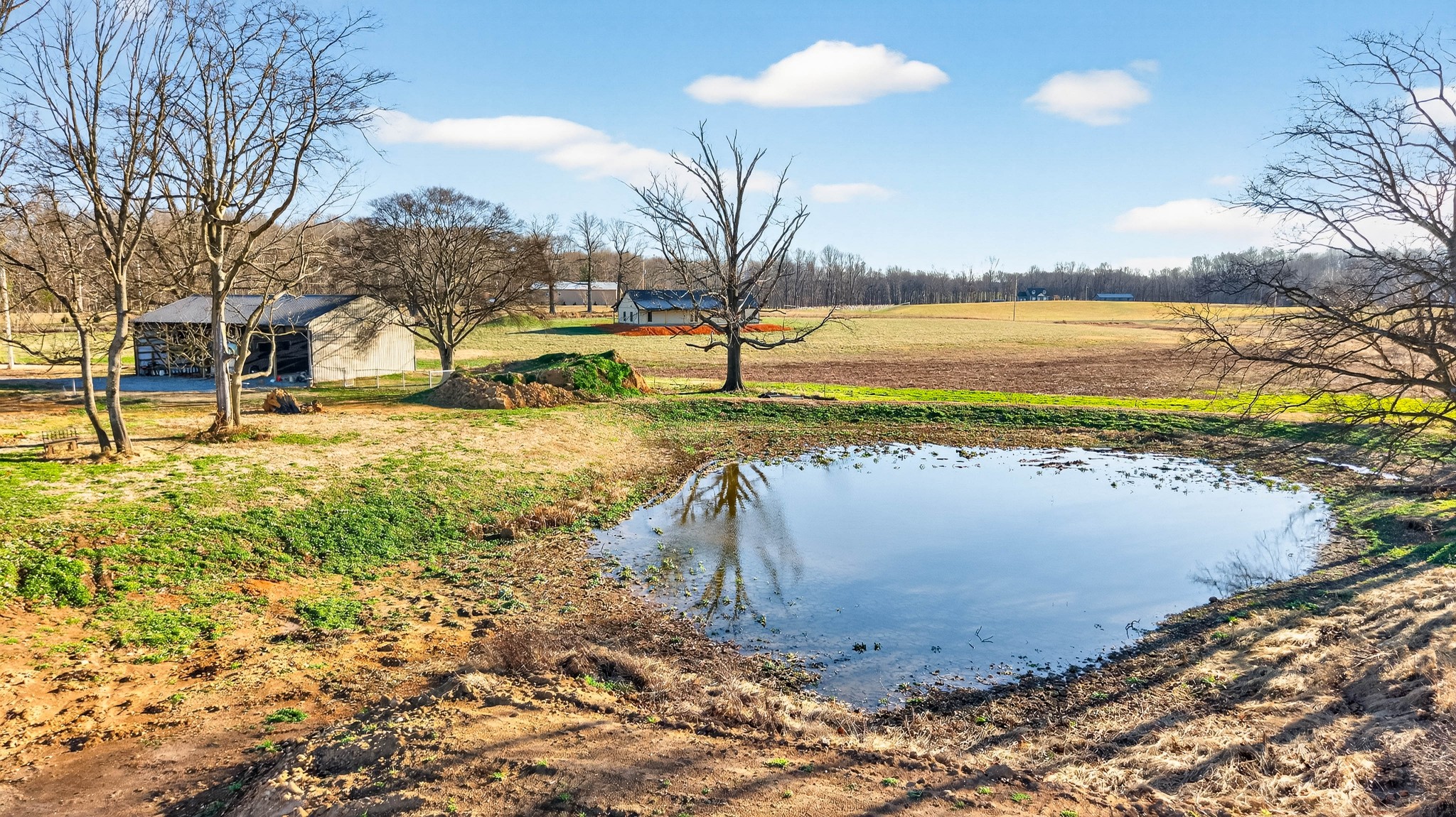 5002 Homer Worsham Road Springfield, TN 37172 - Photo 17 of 25