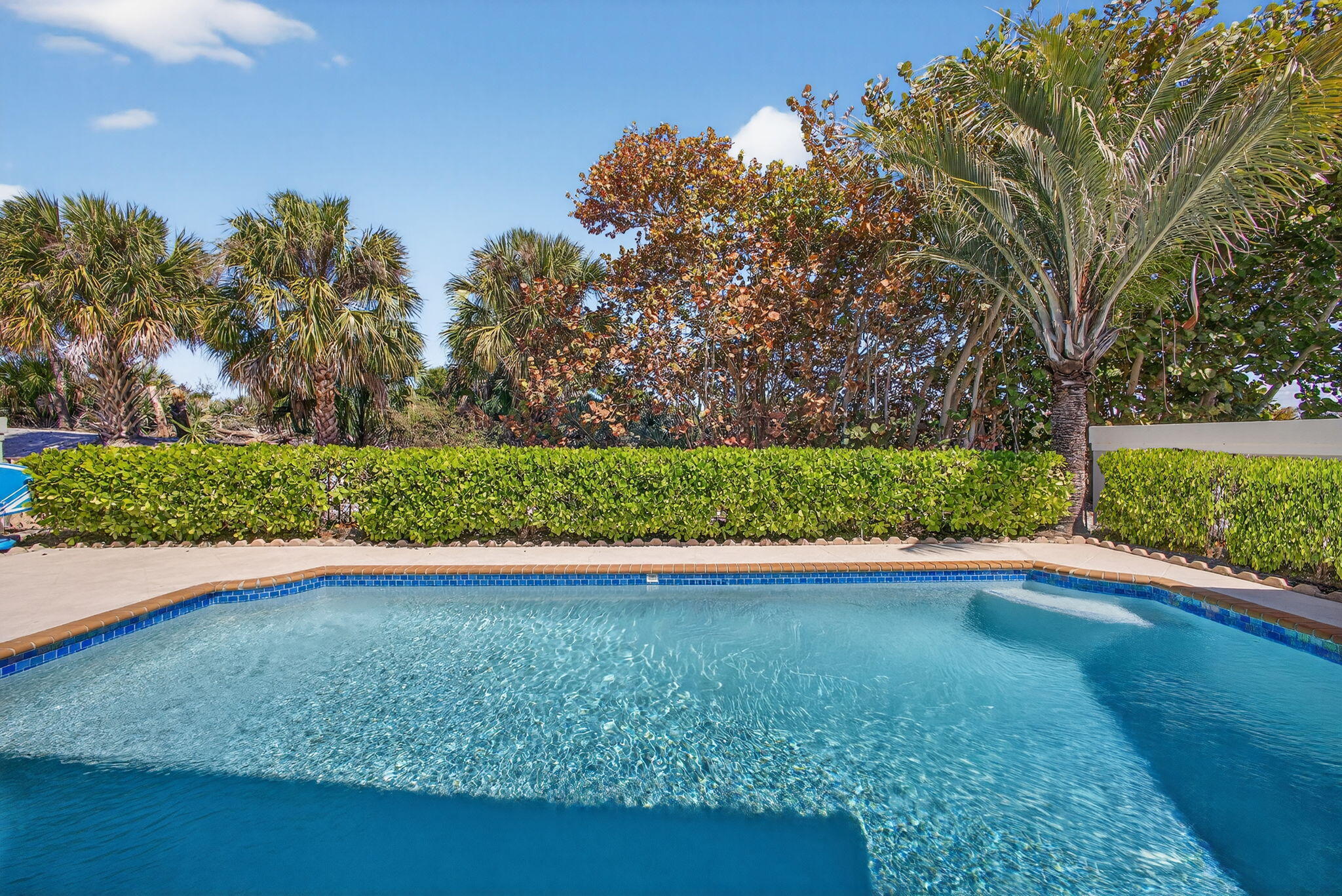239 Ridge Road Jupiter, FL 33477 - Photo 56 of 75 a view of a garden with an outdoor space