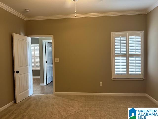 549 Southwark Place Morris, AL 35116 - Photo 9 of 11