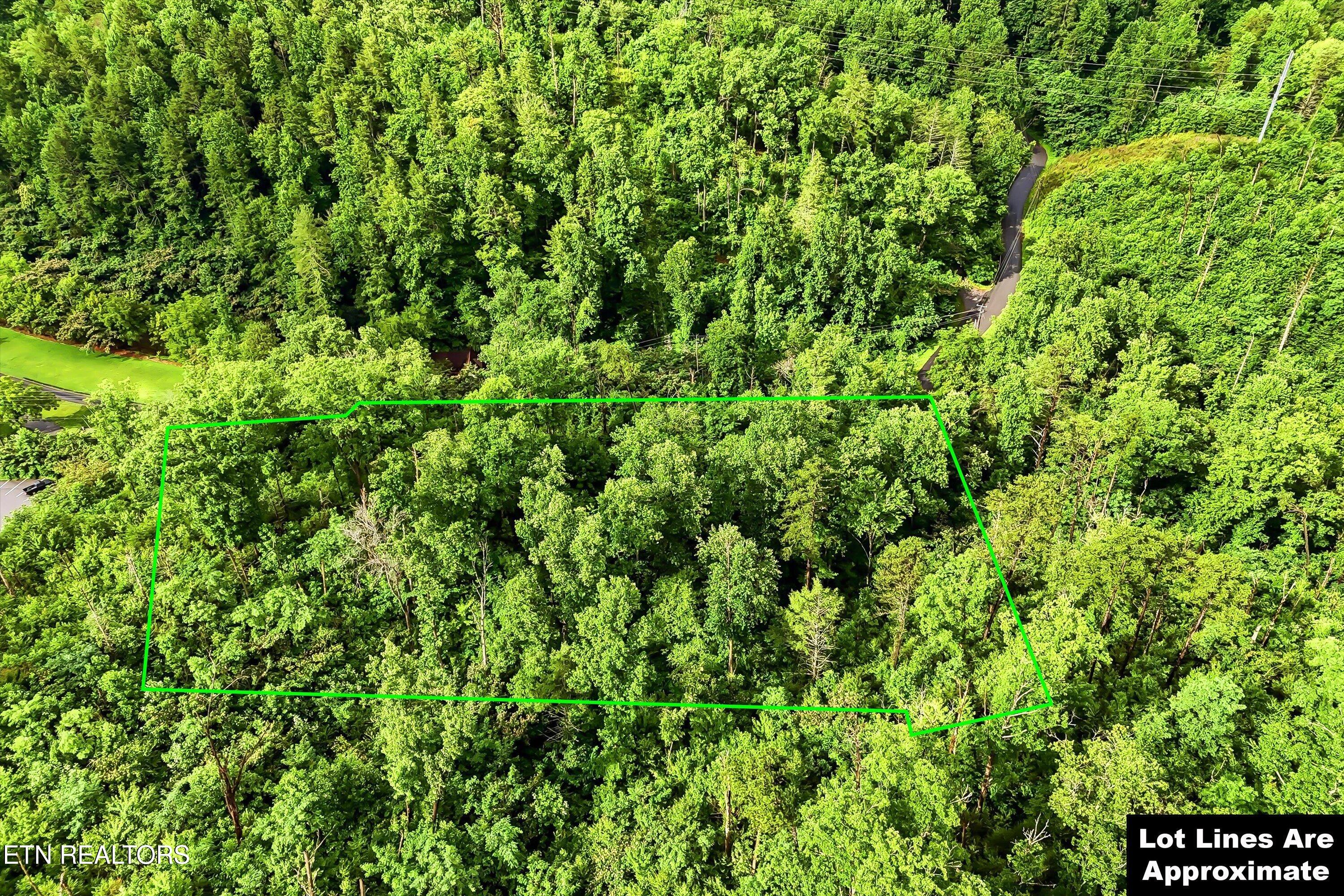 127 Beech Branch Road Gatlinburg, TN 37738 - Photo 5 of 18 09-FINAL-9