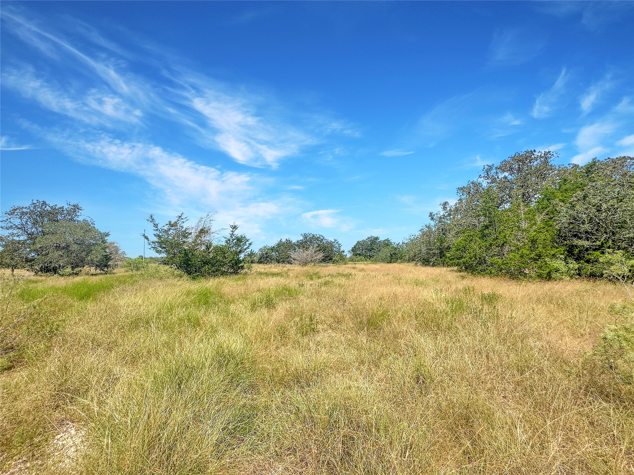1345 Davis Road Muldoon, TX 78949 - Photo 9 of 25 a view of an ocean from a yard