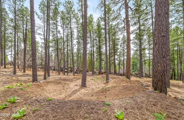 $2,450,000 | 105 West Mt Elden Lookout Road, Flagstaff, AZ 86001