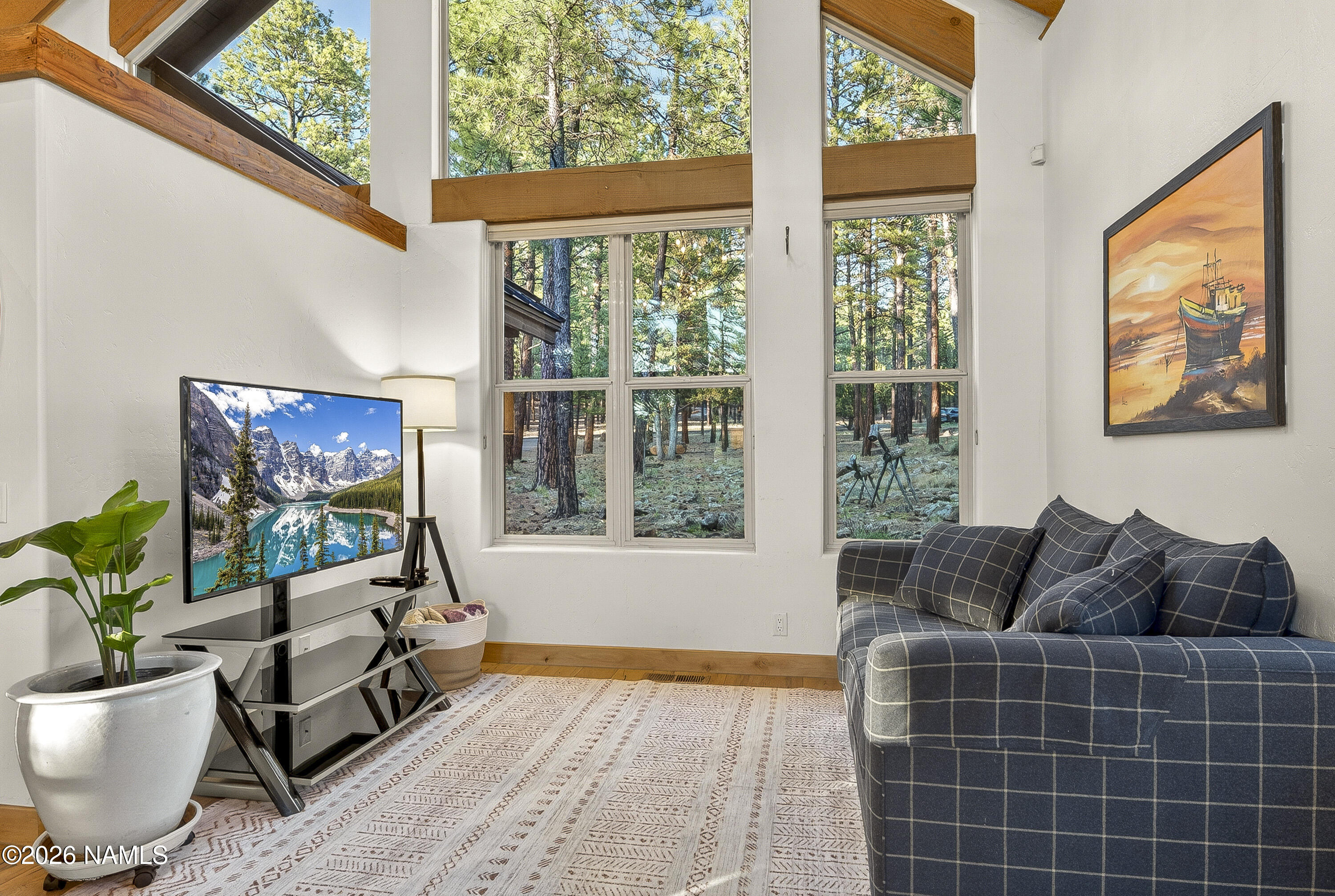 105 West Mt Elden Lookout Road Flagstaff, AZ 86001 - Photo 18 of 54 a living room with furniture and a flat screen tv