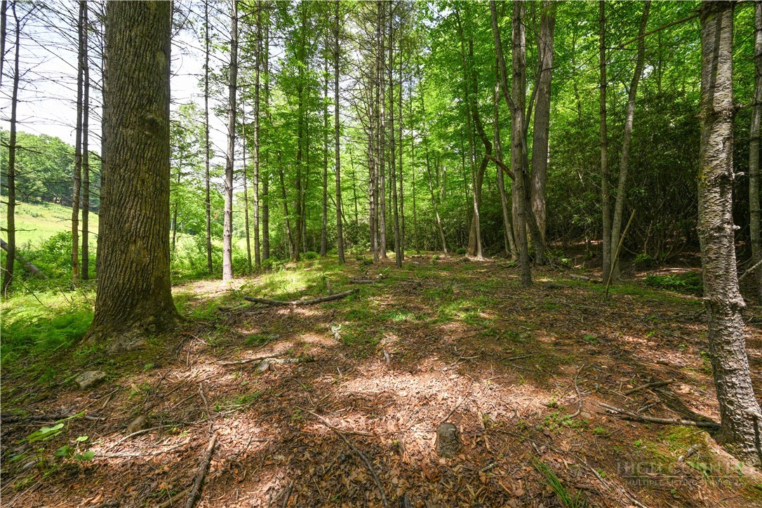 Lot 2 Gusher Knob Road Newland, NC 28657 - Photo 2 of 17