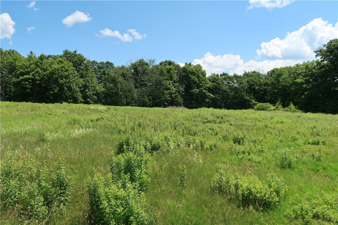 226 Sisson Hill Road Unadilla, NY 13849 - Photo 40 of 43