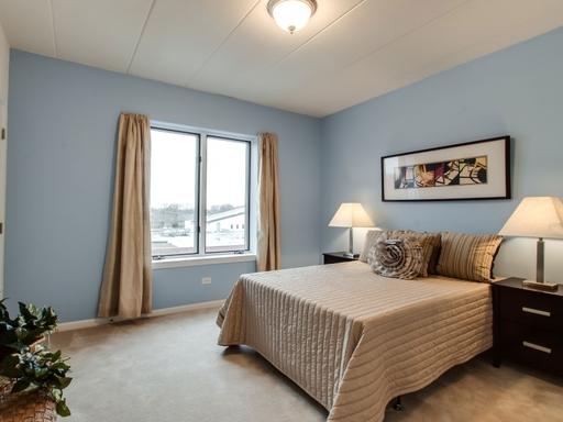 2321 183rd Street, Unit 204 Homewood, IL 60430 - Photo 15 of 18