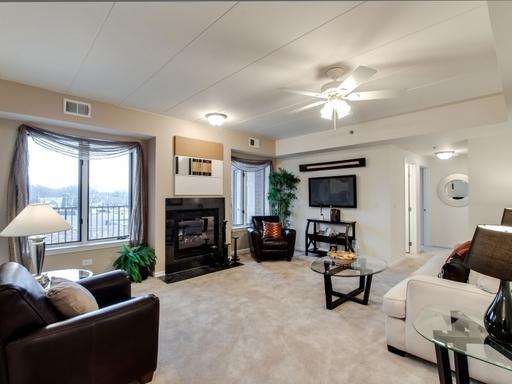 2321 183rd Street, Unit 204 Homewood, IL 60430 - Photo 3 of 18
