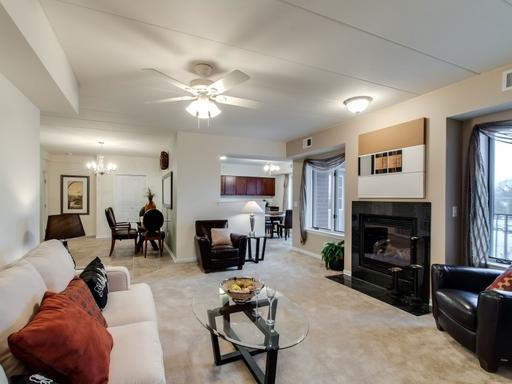 2321 183rd Street, Unit 204 Homewood, IL 60430 - Photo 4 of 18