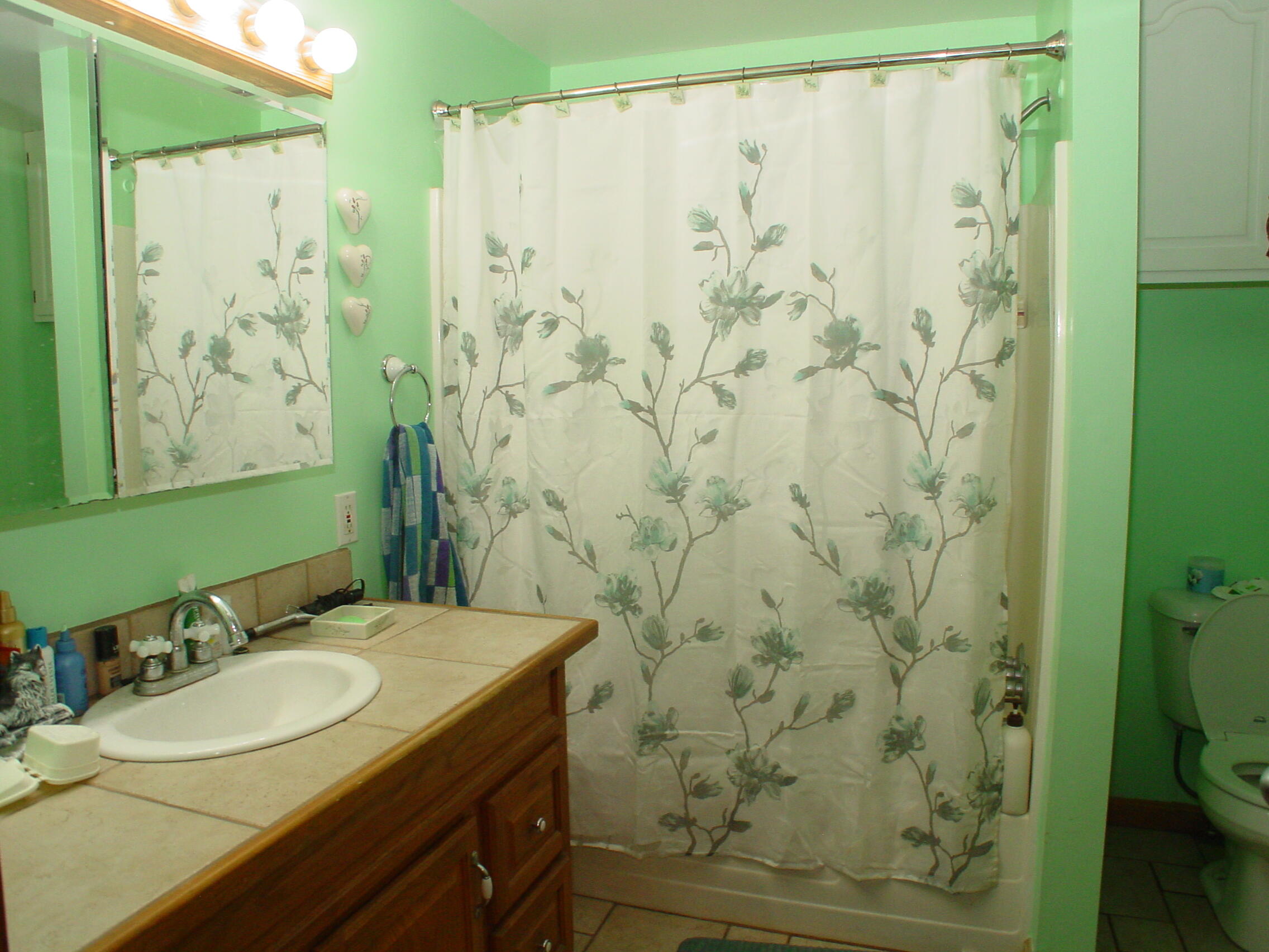 348-350 Lakeview Road Glenburn, ME 04401 - Photo 9 of 13 Main Bath