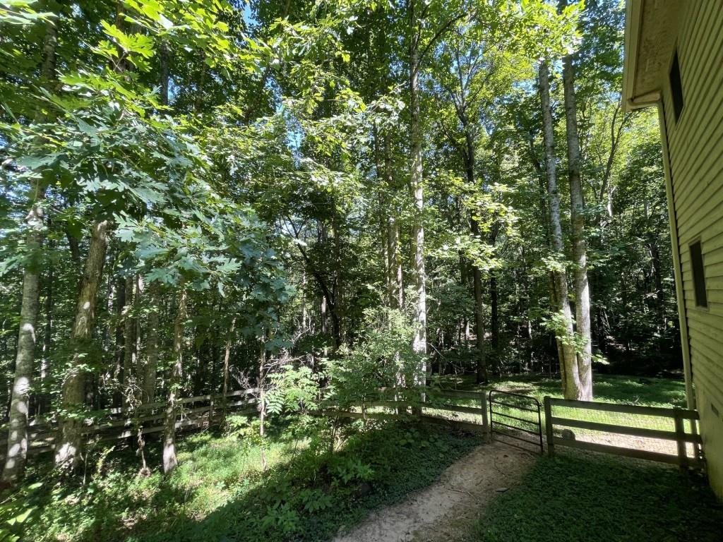 988 Rocktree Road Dahlonega, GA 30533 - Photo 11 of 53