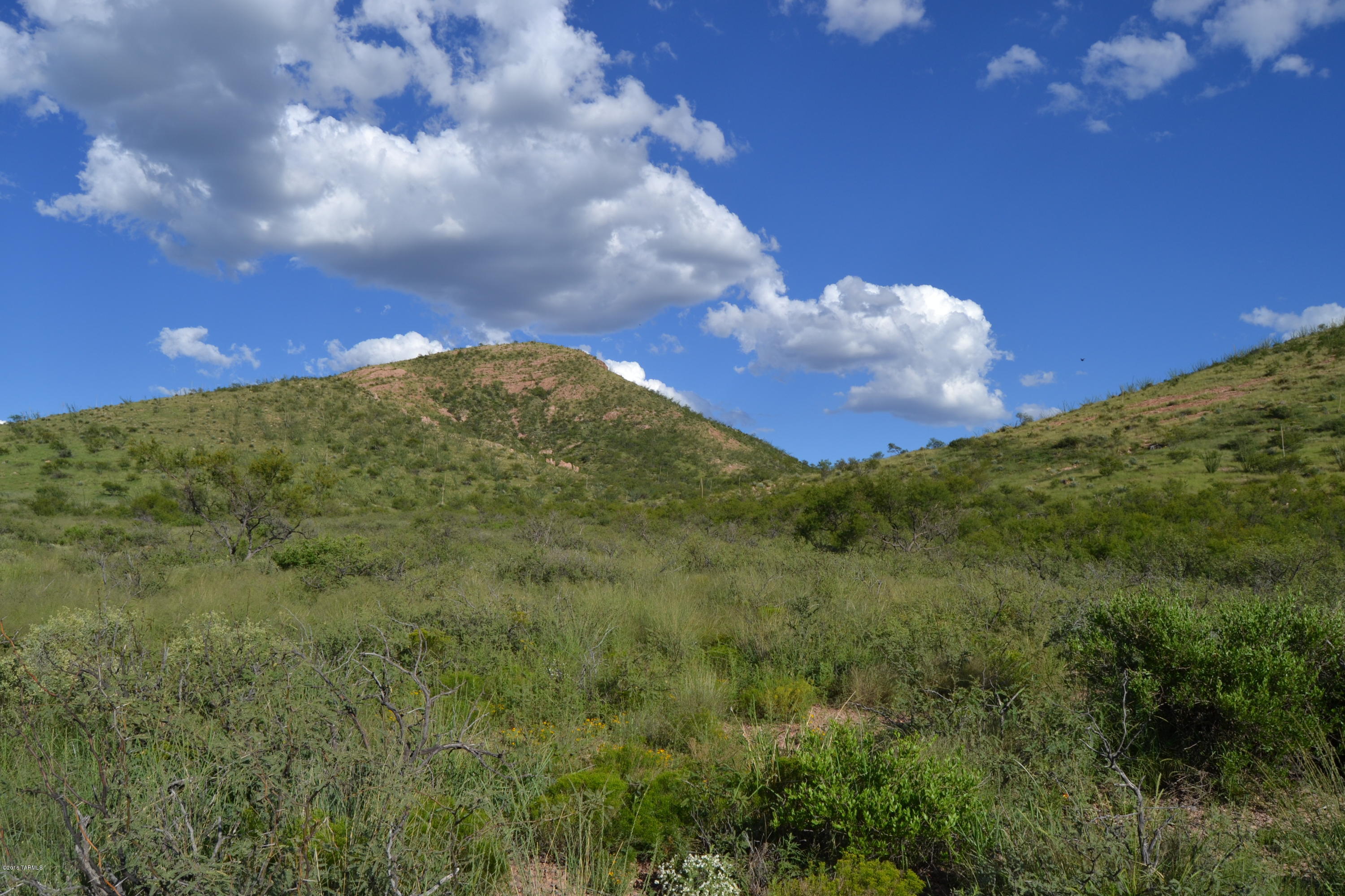 Tbd East Green Wash Road Douglas, AZ 85607 - Photo 1 of 12 Gallery Image 1